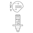 H1 55W 12V Xenium Race