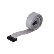 GloboStar® DATULCO 90241 Καλωδιοταινία 1m Data Cable HUB75 Μεταφοράς Σήματος/Εικόνας για Ψηφιακές Οθόνες LED Video Wall Μ100 x Π2.5 x Υ1.5cm - 2 Years Warranty