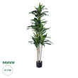 GloboStar® Artificial Garden DRACAENA SILK 20044 Τεχνητό Διακοσμητικό Φυτό Δράκαινα Υ170cm