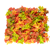 GloboStar® Artificial Garden AUTUMN MAPLE 20349 Τεχνητό Διακοσμητικό Πάνελ Φυλλωσιάς - Κάθετος Κήπος σύνθεση Φθινοπωρινός Σφένδαμος Μ50 x Π50 x Υ10cm