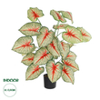 GloboStar® Artificial Garden CALADIUM 20921 Διακοσμητικό Φυτό Καλάντιουμ Υ80cm