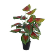 GloboStar® Artificial Garden CALADIUM MIX 20911 Διακοσμητικό Φυτό Καλάντιουμ Υ75cm