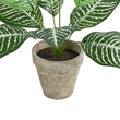 GloboStar® Artificial Garden ZEBRA POTTED PLANT 20898 Διακοσμητικό Φυτό Ζέμπρα Φ40 x Υ33cm