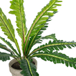 GloboStar® Artificial Garden  ASPLENIUM POTTED PLANT 20904 Διακοσμητικό Φυτό Aslenium Φ40 x Υ33cm