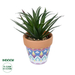 GloboStar® Artificial Garden SUCCULENT SANSEVIERIA POTTED PLANT 21047 Διακοσμητικό Φυτό Σανσεβιέρια  Φ16x Υ20cm