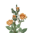 GloboStar® Artificial Garden SALMON ROSE BRANCH 21149 Τεχνητό Διακοσμητικό Κλαδί Σαμπανιζέ Τριαντάφυλλο Y65cm