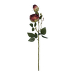 GloboStar® Artificial Garden RED DAMASK CLIMBING ROSE BRANCH 21197 Τεχνητό Διακοσμητικό Κλαδί Τριαντάφυλλο Κόκκινο Y55cm