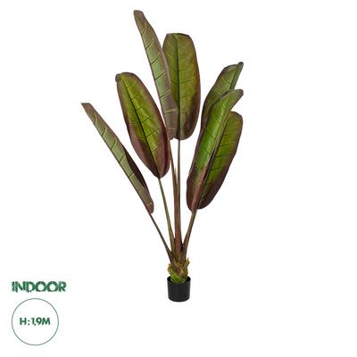 GloboStar® Artificial Garden BLOODY BANANA TREE 20118 Τεχνητό Διακοσμητικό Φυτό Αιματόφυλλη Μπανανιά - Μπανανόδεντρο Υ190cm