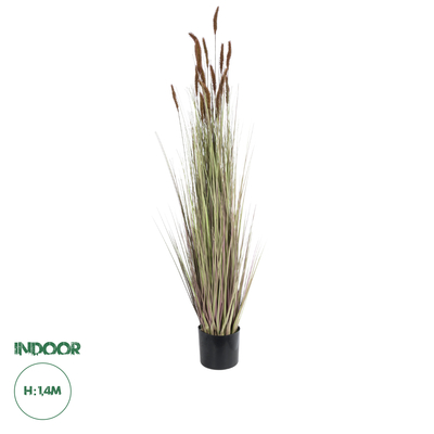 GloboStar® Artificial Garden BROWN LAGURUS 21101 Διακοσμητικό Φυτό Καφέ Λαγοουρά Υ140cm