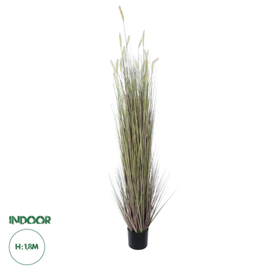 GloboStar® Artificial Garden BEIGE LAGURUS 21103 Διακοσμητικό Φυτό Μπεζ Λαγοουρά Υ180cm