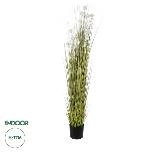 GloboStar® Artificial Garden ERIOPHORUM ANGUSTIFOLIUM COTTON GRASS 20074 Τεχνητό Διακοσμητικό Φυτό Γρασίδι του Βαμβακιού Υ170cm