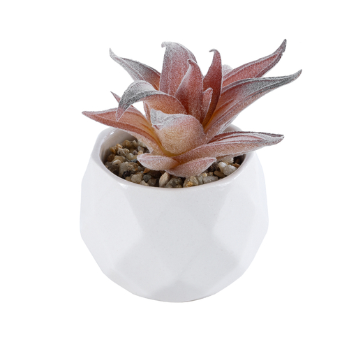 GloboStar® Artificial Garden SUCCULENT ALOE 21006 Διακοσμητικό Φυτό Παχύφυτο Αλόη Υ10cm