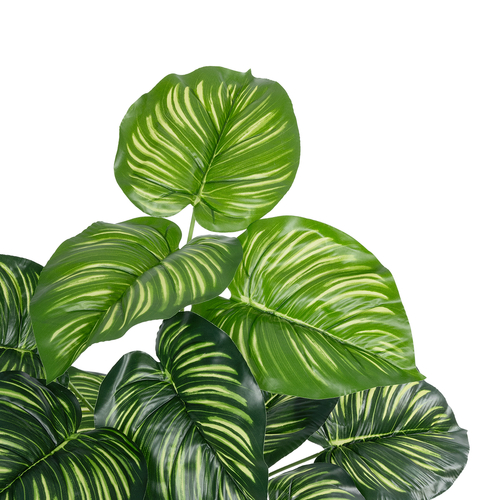 GloboStar® Artificial Garden CALATHEA 20933 Διακοσμητικό Φυτό Καλαθέα Υ55cm