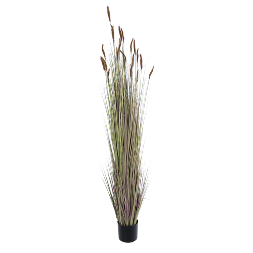 GloboStar® Artificial Garden BROWN LAGURUS 21103 Διακοσμητικό Φυτό Καφέ Λαγοουρά Υ180cm