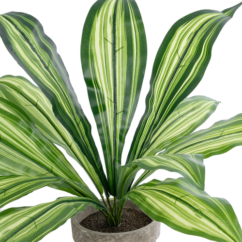 GloboStar® Artificial Garden  DRACAENA POTTED PLANT 20907 Διακοσμητικό Φυτό Δράκενα Φ40 x Υ33cm