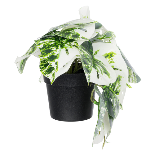 GloboStar® Artificial Garden ALBINO MONSTERA PLANT 20946 Διακοσμητικό Φυτό Μονστέρα Φ23 x Υ16cm