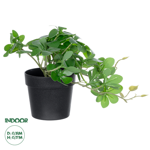 GloboStar® Artificial Garden SCHEFFLERA PLANT 20954 Διακοσμητικό Φυτό Σεφλέρα Φ18 x Υ17cm