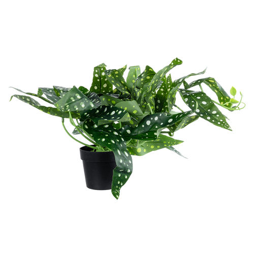 GloboStar® Artificial Garden BEGONIA POLKA DOT PLANT 20959 Διακοσμητικό Φυτό Βιγόνια Φ50 x Υ22cm