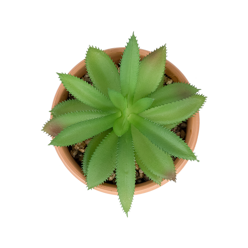 GloboStar® Artificial Garden SUCCULENT ALOE POTTED PLANT 21040 Διακοσμητικό Φυτό Αλόη Φ9 x Υ14cm