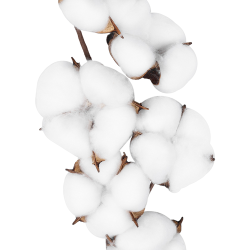 GloboStar® Artificial Garden COTTON BRANCH 20558 Τεχνητό Διακοσμητικό Κλαδί βαμβάκι Υ45cm