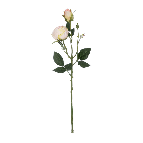 GloboStar® Artificial Garden CHAMPAGNE DAMASK CLIMBING ROSE BRANCH 21198 Τεχνητό Διακοσμητικό Κλαδί Τριαντάφυλλο Σαμπανιζέ Y55cm