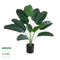 GloboStar® Artificial Garden BANANA 20928 Διακοσμητικό Φυτό Μπανανιά Υ55cm