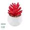 GloboStar® Artificial Garden SUCCULENT CRASSULA 20985 Διακοσμητικό Φυτό Παχύφυτο Κράσουλα Υ10cm