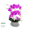 GloboStar® Artificial Garden HOT PINK ORCHID 21119 Διακοσμητικό Έντονο Ροζ Ορχιδέα Υ45cm