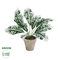 GloboStar® Artificial Garden WHITE AGLAONEMA POTTED PLANT 20903 Διακοσμητικό Φυτό Λευκό Αγλαόνημα Φ40 x Υ33cm